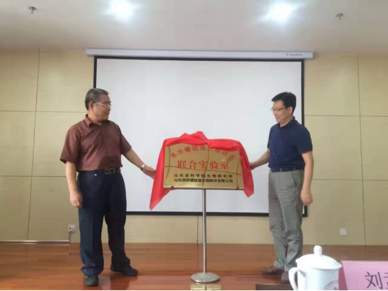 618501aebdd2c.png image.png